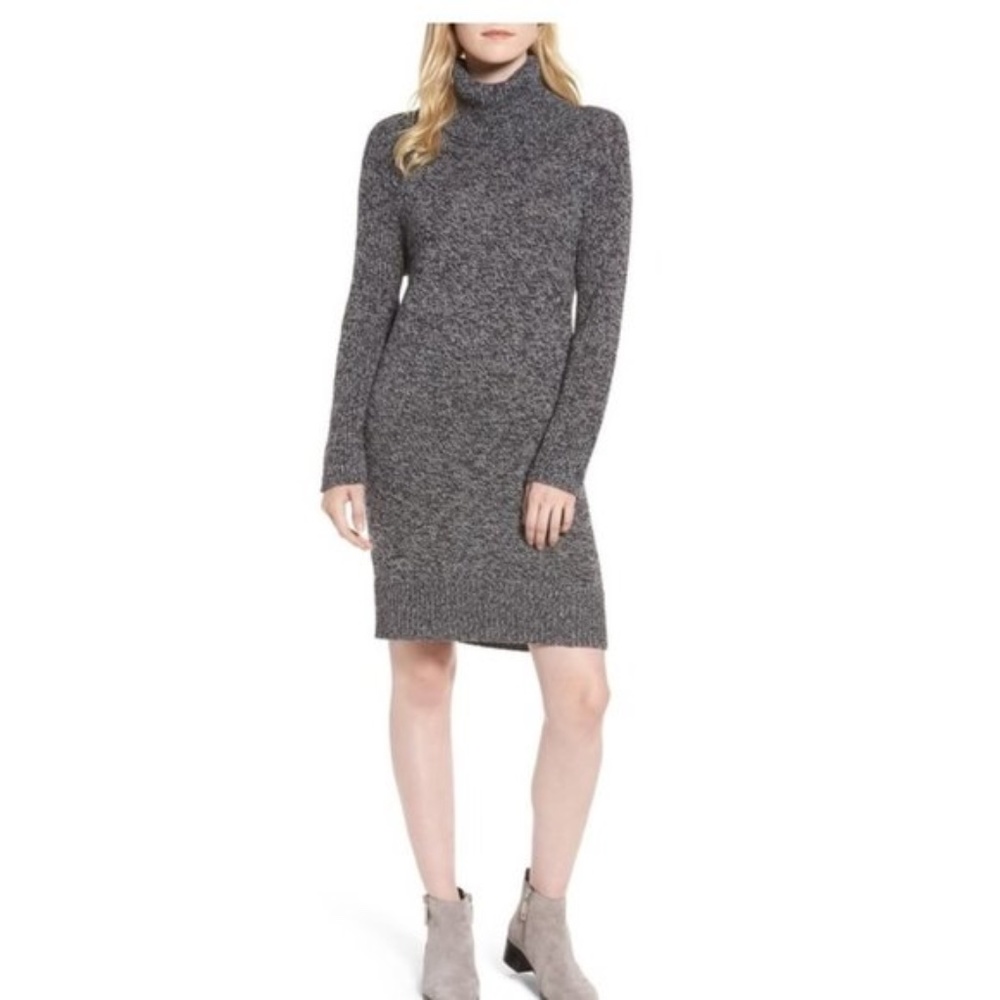 Treasure & Bond Turtleneck Sweater Dress